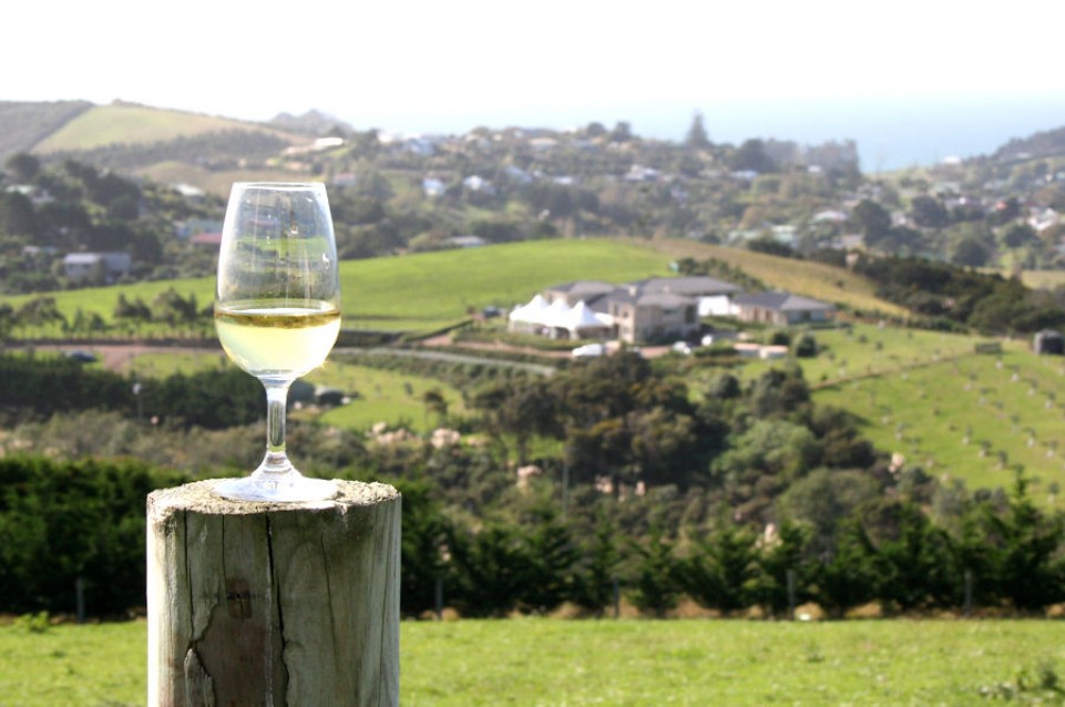 Dal 9 al 26 aprile a Povegliano torna la "Mostra dei Vini Triveneti"