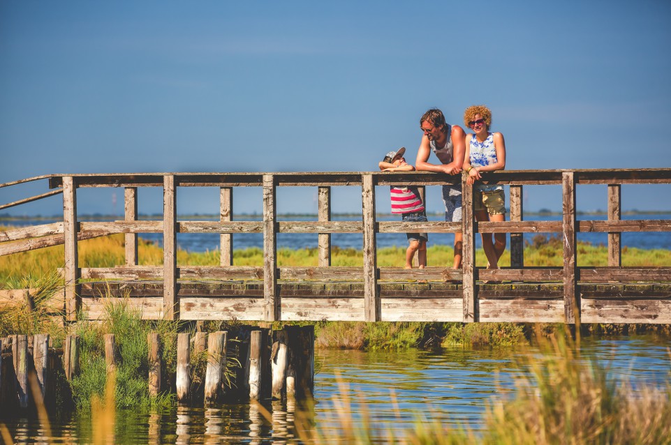 Primavera Slow: dal 18 marzo al 25 giugno alla scoperta del bellissimo Parco del Delta del Po