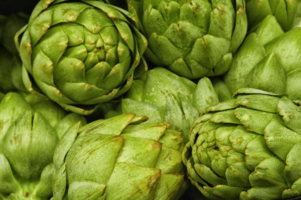 Ad aprile a Ramacca vi aspetta la "Sagra del carciofo" Ad aprile a Ramacca vi aspetta la "Sagra del carciofo"