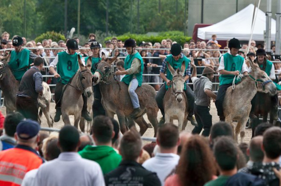Dal 24 aprile all'1 maggio a Romano D'Ezzelino arriva il Palio Dal 24 aprile all'1 maggio a Romano D'Ezzelino arriva il Palio