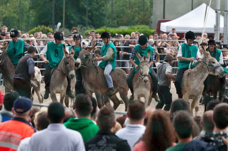 Dal 24 aprile all'1 maggio a Romano D'Ezzelino arriva il Palio