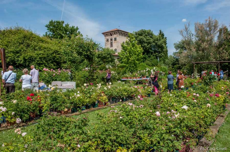 Il 23 e 24 maggio a Rovato vi aspetta "Giardinaria", la festa dei fiori 