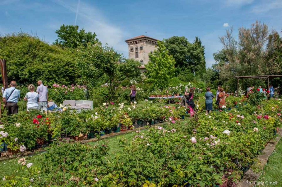 Il 23 e 24 maggio a Rovato vi aspetta "Giardinaria", la festa dei fiori Il 23 e 24 maggio a Rovato vi aspetta "Giardinaria", la festa dei fiori
