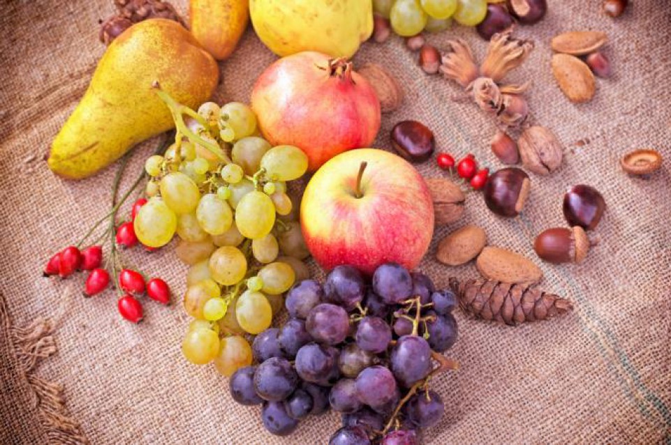 Sagra dei frutti del sottobosco e dell'artigianato artistico: il 9 ottobre a Portico di Romagna Sagra dei frutti del sottobosco e dell'artigianato artistico: il 9 ottobre a Portico di Romagna