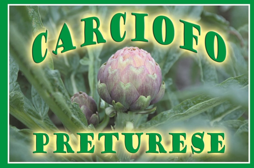 Sagra del Carciofo Preturese: dal 22 al 25 aprile a Montoro Sagra del Carciofo Preturese: dal 22 al 25 aprile a Montoro
