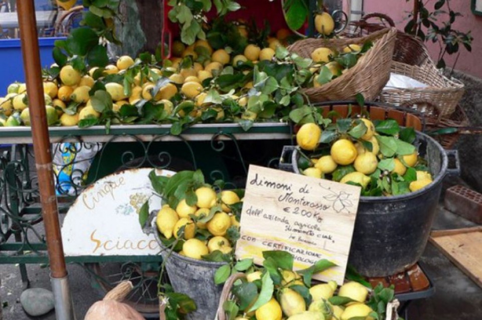 Sagra del Limone: il 20 maggio a Monterosso