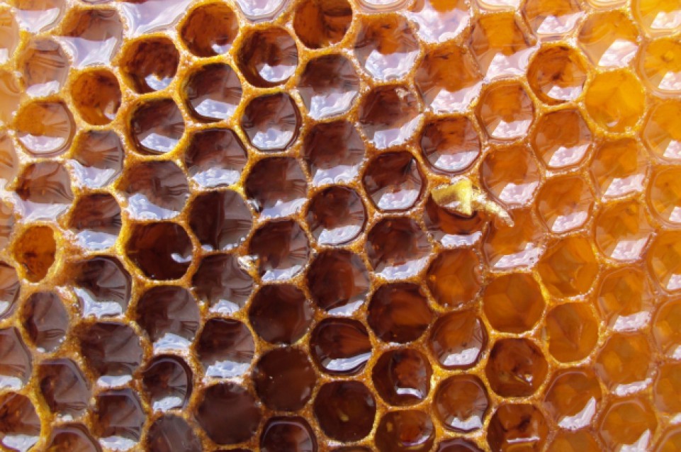 Sagra del miele: il 25 ottobre a Chatillon