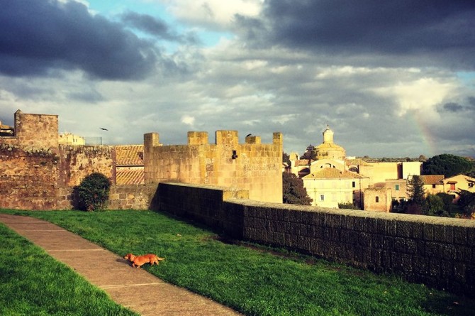 Sagra della frittella di cavolfiore a chilometro zero: il 18 gennaio a Tuscania 