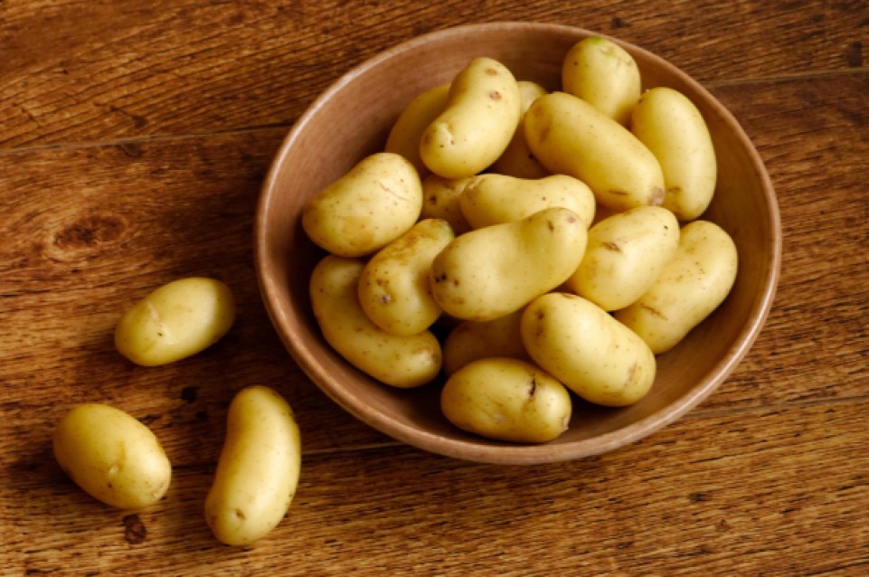 Sagra della Patata : il 28 e 29 maggio ad Angri Sagra della Patata : il 28 e 29 maggio ad Angri