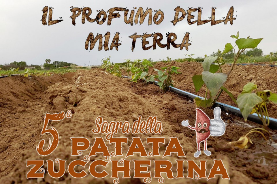 Sagra della Patata Zuccherina: dal 2 al 4 settembre a Frigole