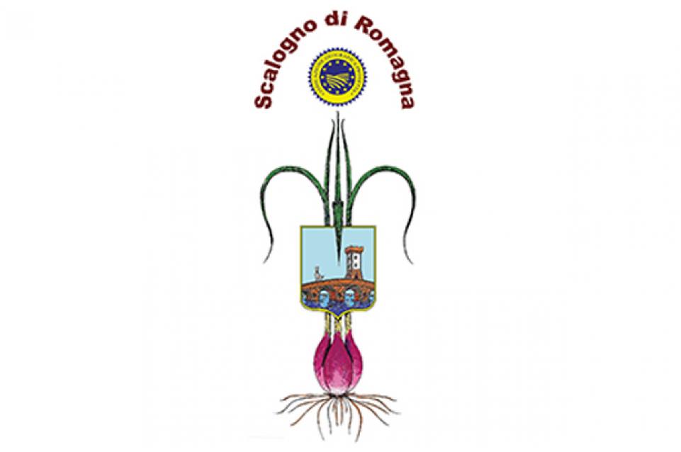 Sagra dello Scalogno di Romagna: dal 25 al 28 luglio a Riolo Terme