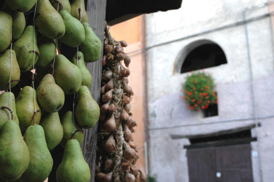 Sagra della pera volpina e del formaggio stagionato: l'11 novembre a Brisighella