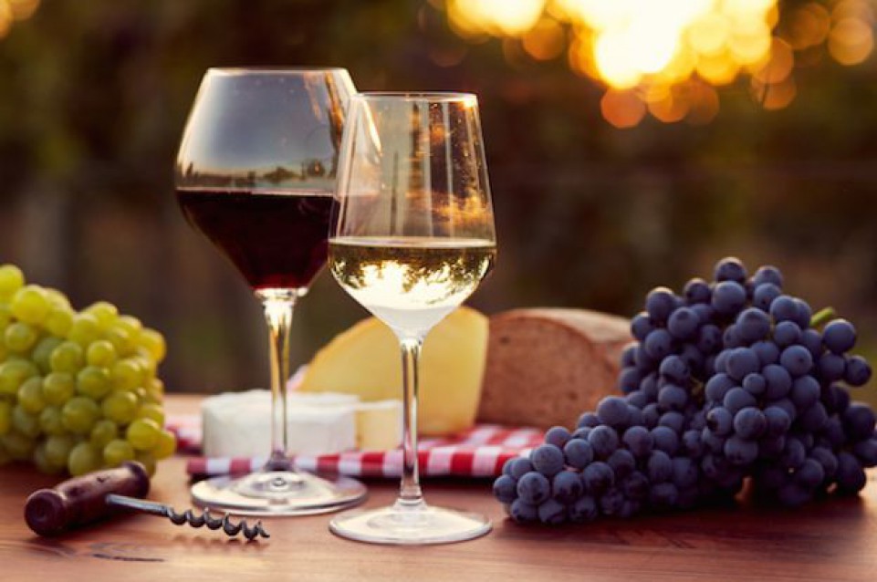 Sagra Provinciale dell'Uva: dal 18 al 21 settembre a Riolo Terme Sagra Provinciale dell'Uva: dal 18 al 21 settembre a Riolo Terme