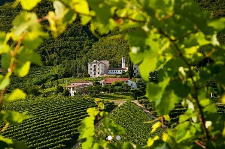 A San Pietro di Barbozza dal 31 marzo al 15 aprile arriva la "Mostra del Cartizze e Valdobbiadene Docg" 