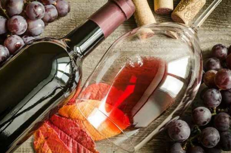 Sangiovese di Romagna: il nettare rosso che arriva da uno dei vitigni italiani più diffusi