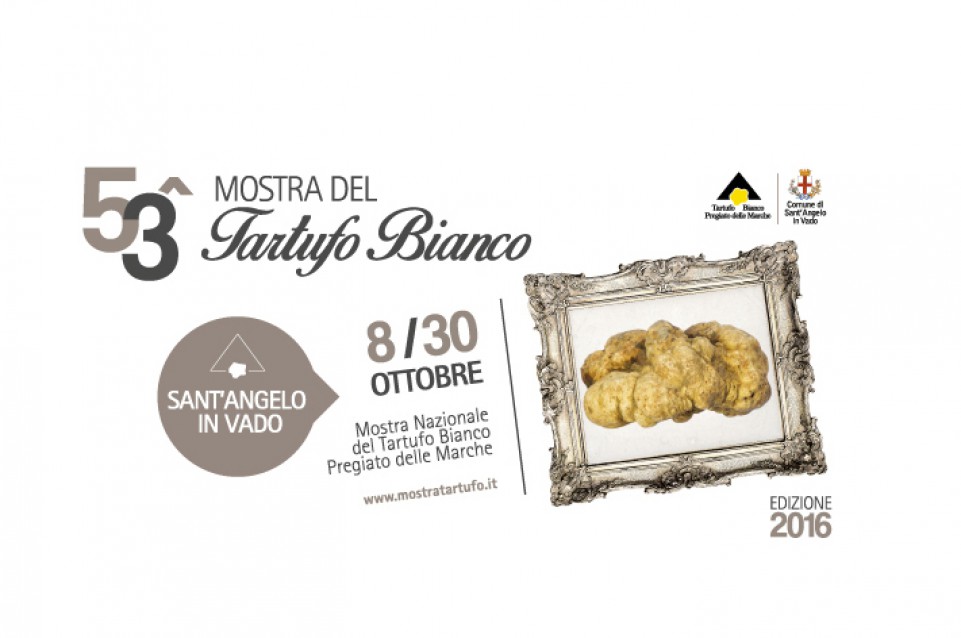 Dall'8 al 30 ottobre a Sant'Angelo in Vado torna la "Mostra Nazionale del Tartufo Bianco Pregiato delle Marche" 