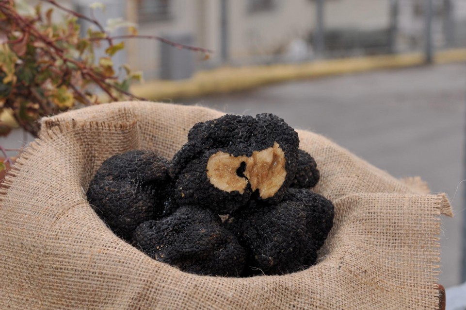 Il 26 luglio a Sarsina torna la gustosa " Sagra del Tartufo nero estivo (Scorzone)" 