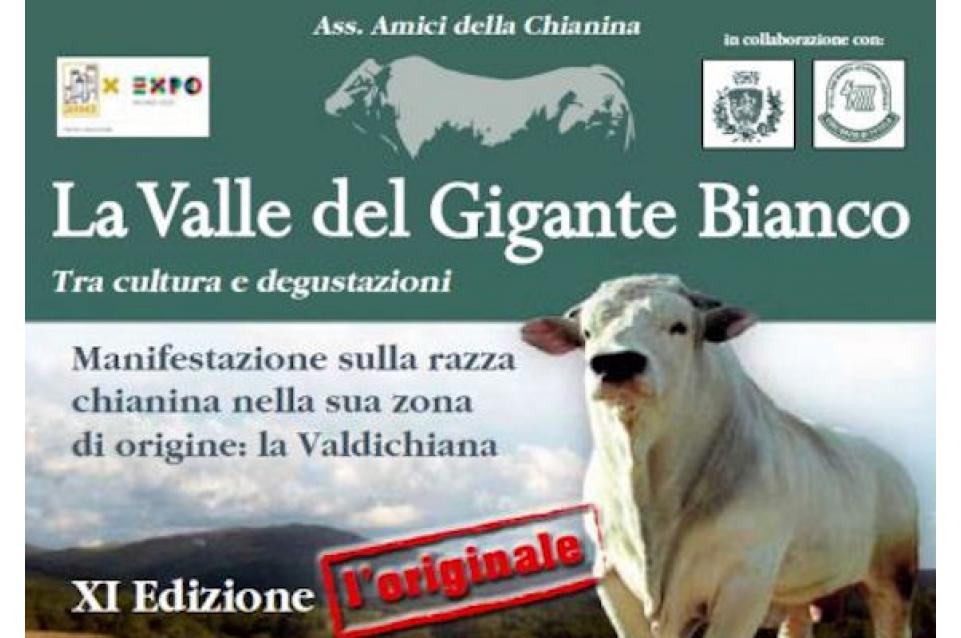 Dal 22 maggio al 2 giugno a Sinalunga torna "La Valle del Gigante Bianco" Dal 22 maggio al 2 giugno a Sinalunga torna "La Valle del Gigante Bianco"