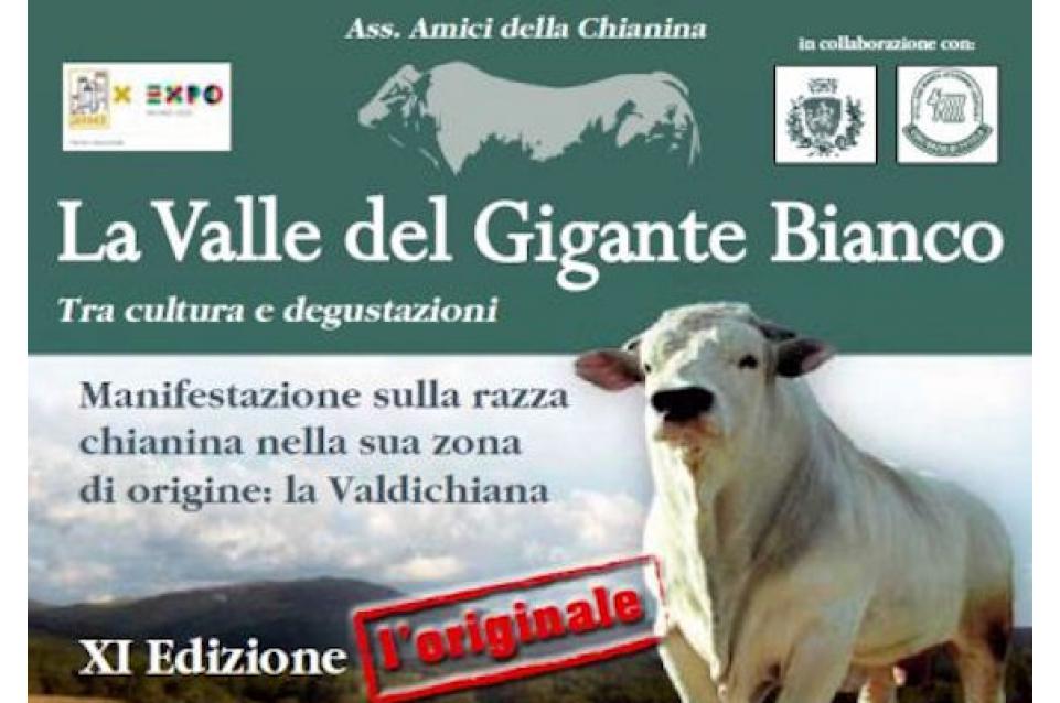 Dal 22 maggio al 2 giugno a Sinalunga torna "La Valle del Gigante Bianco" 