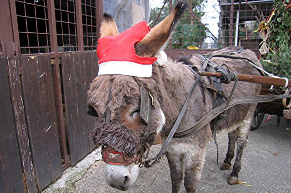 Il 19 e 20 dicembre a Somma Vesuviana arriva il "Natale Contadino" 