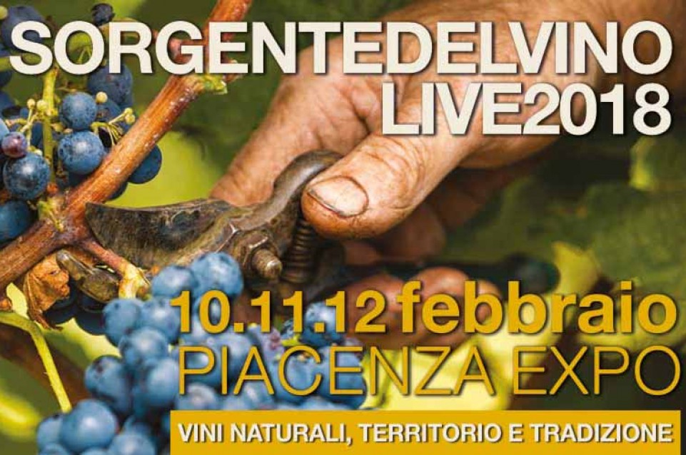 Sorgentedelvino LIVE: dal 10 al 12 febbraio a Piacenza vini naturali, territori e tradizioni 