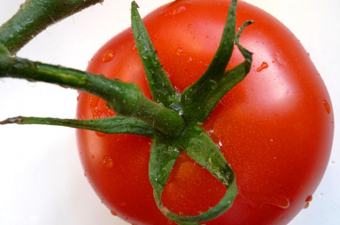 Ecco il super pomodoro: la pianta che raddoppia il raccolto dei frutti! Ecco il super pomodoro: la pianta che raddoppia il raccolto dei frutti!
