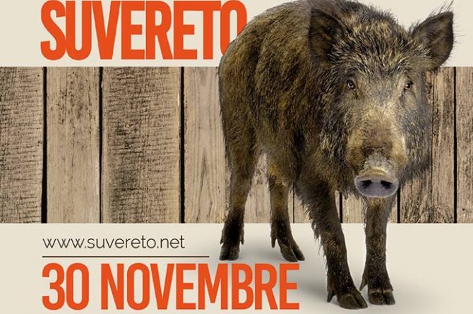 A fine novembre a Suvereto vi aspetta la "Sagra del Cinghiale"