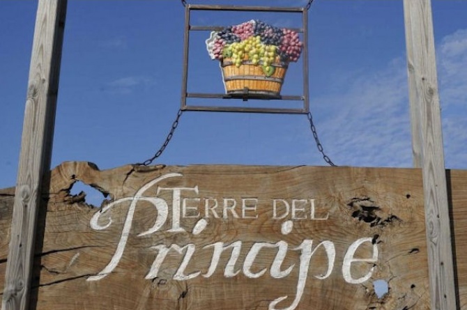 Terre del Principe e l 'avventura del Pallagrello: dai Borbone ai Tre Bicchieri Terre del Principe e l 'avventura del Pallagrello: dai Borbone ai Tre Bicchieri