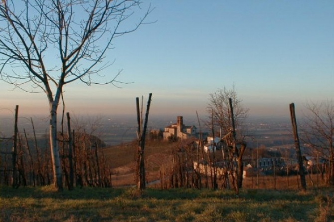 Tra Vino e Castelli - Passeggiata panoramica tra castelli nell'Oltrepo Pavese Tra Vino e Castelli - Passeggiata panoramica tra castelli nell'Oltrepo Pavese