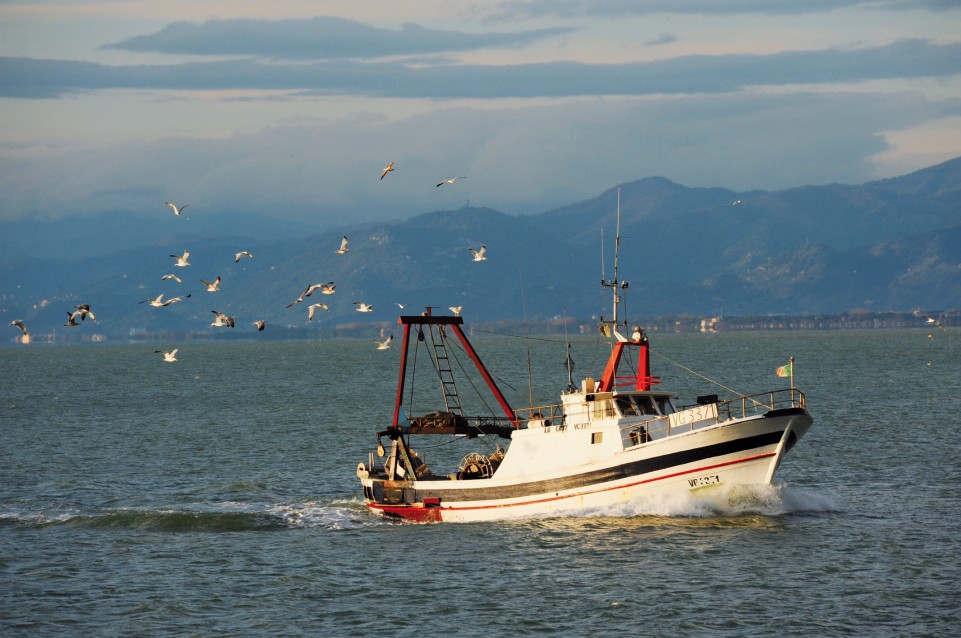 Trabaccolara Days: dal 27 al 29 settembre Vetrina Toscana festeggia il pesce dimenticato 