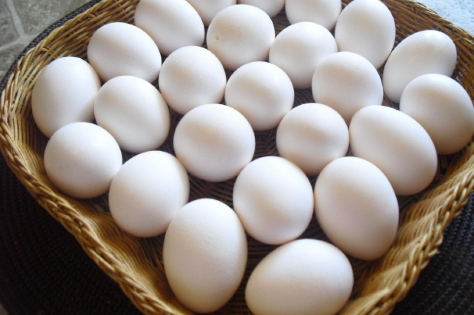 Il 27 e 28 marzo a Tredozio la Pasqua si celebra con la sagra dell'uovo