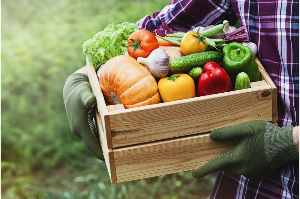 Tsaven: il 26 giugno ad Aosta arriva il mercato di prodotti alimentari, biologici e tradizionali