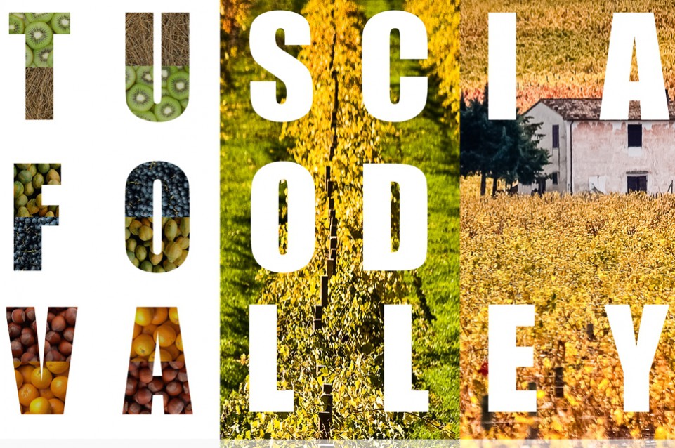 Tuscia Food Valley: fino al 31 ottobre a Viterbo la mostra della cultura del cibo Tuscia Food Valley: fino al 31 ottobre a Viterbo la mostra della cultura del cibo