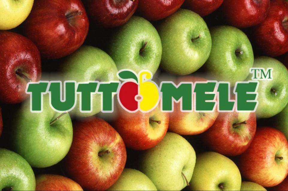 TUTTOMELE: dal 9 al 17 novembre a Cavour TUTTOMELE: dal 9 al 17 novembre a Cavour