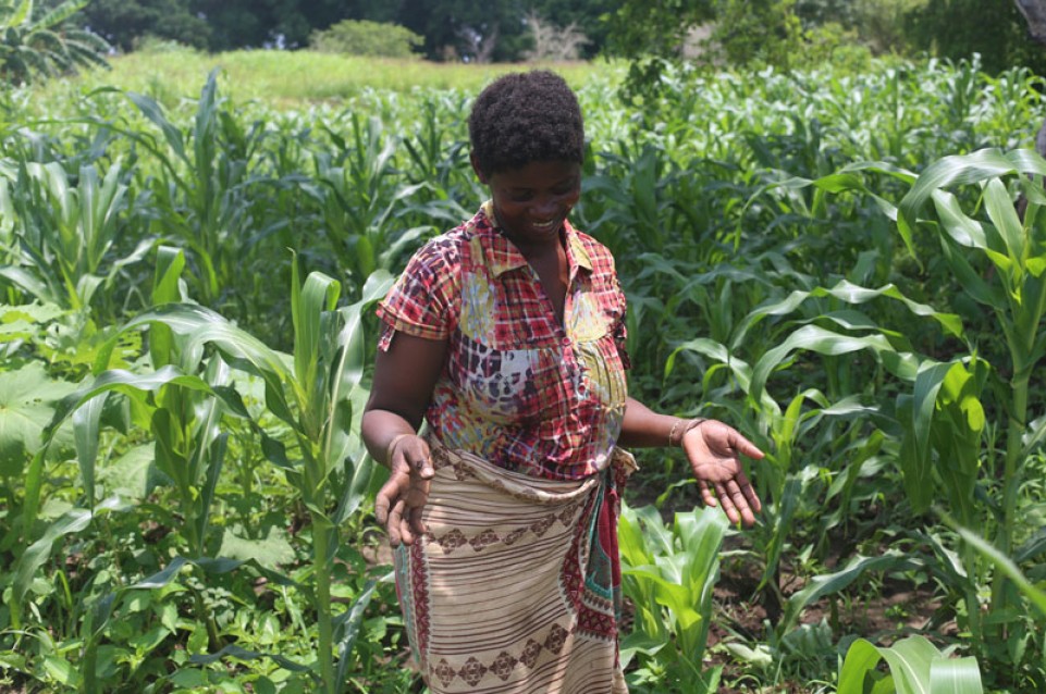 Una scintilla, un sogno, un viaggio: il 26 marzo a Milano serata di benefica per il Mozambico Una scintilla, un sogno, un viaggio: il 26 marzo a Milano serata di benefica per il Mozambico