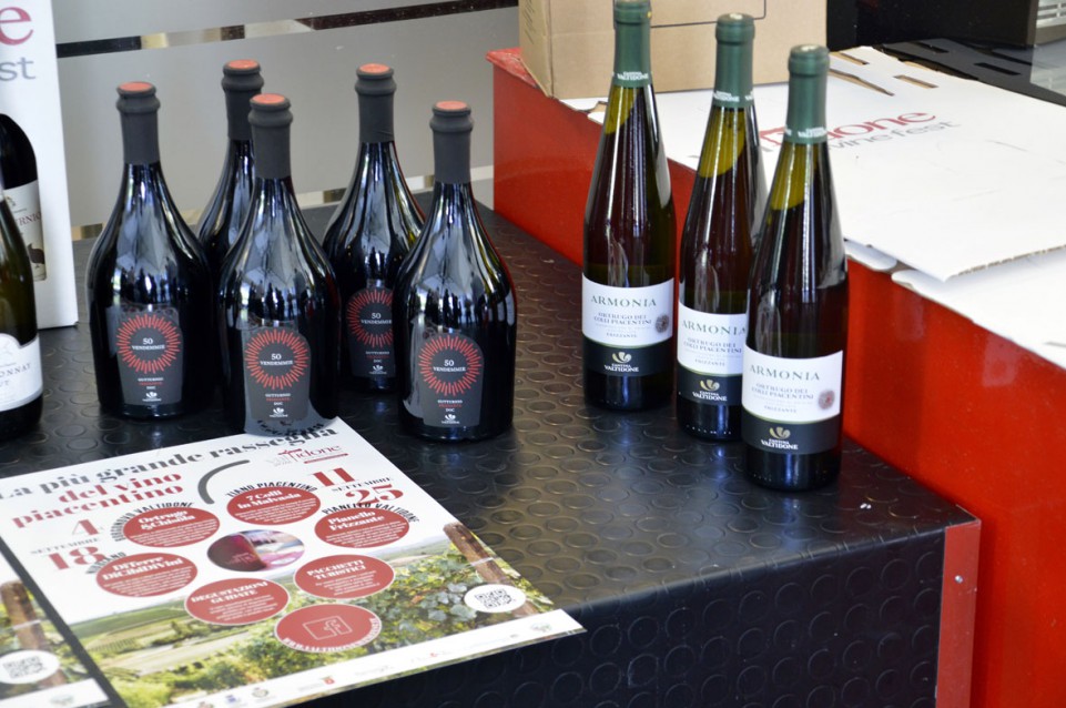Dal 4 al 25 settembre in Val Tidone torna il Wine Fest Dal 4 al 25 settembre in Val Tidone torna il Wine Fest