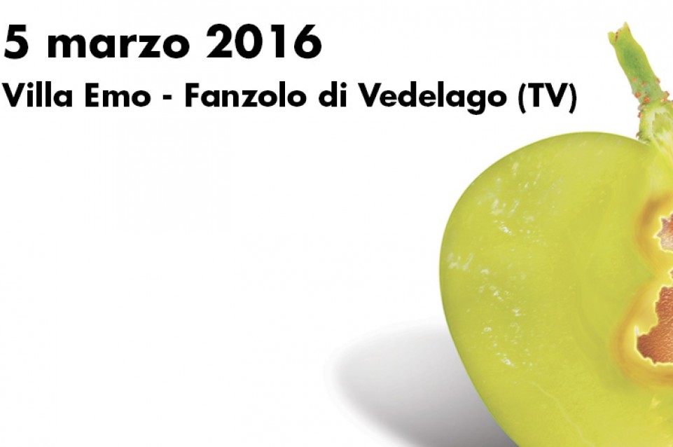 Il 5 marzo a Vedelago appuntamento con "300 X 100" Il 5 marzo a Vedelago appuntamento con "300 X 100"