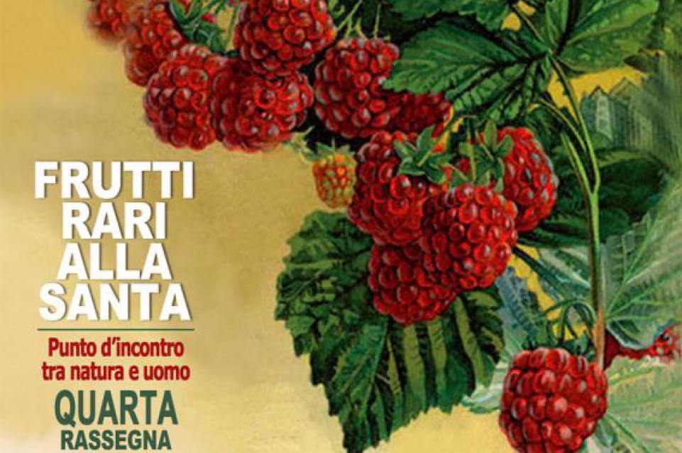 Il 10 e 11 settembre a Villasanta vi aspettano i "Frutti Rari alla Santa" Il 10 e 11 settembre a Villasanta vi aspettano i "Frutti Rari alla Santa"