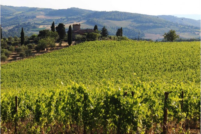 Dal 18 al 21 settembre torna Vino al Vino a Panzano in Chianti Dal 18 al 21 settembre torna Vino al Vino a Panzano in Chianti
