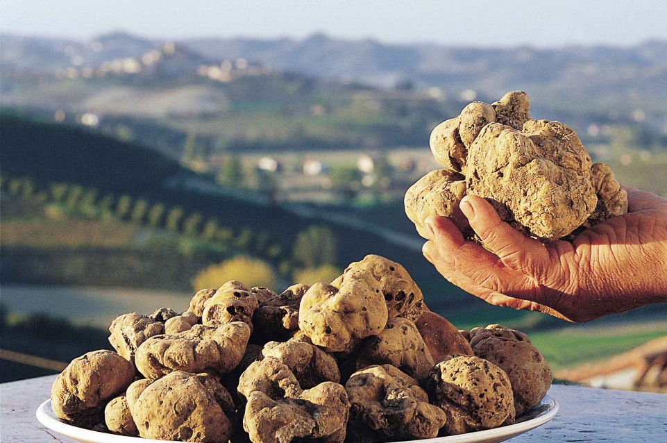 A Volterra sapori in festa con la VII Mostra Mercato del Tartufo Marzuolo