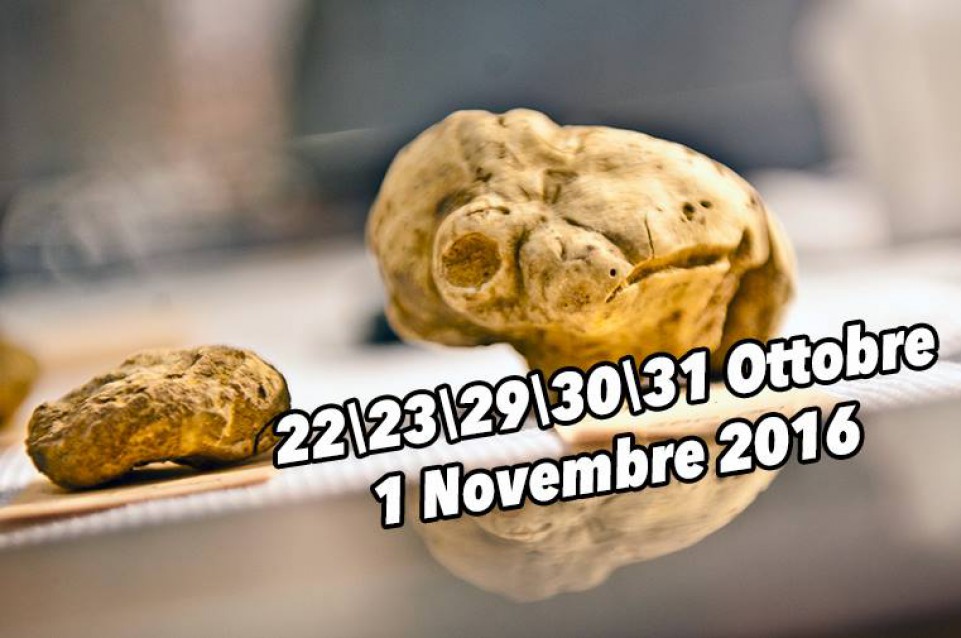 Volterragusto: tartufo bianco ed eccellenze del territorio dal 22 ottobre all'1 novembre a Volterra