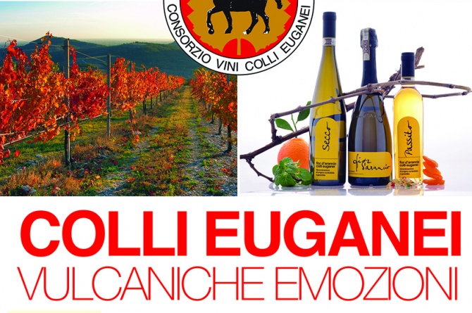 Vulcaniche emozioni: l'8 e 9 novembre i vini dei Colli Euganei saranno a Roma Vulcaniche emozioni: l'8 e 9 novembre i vini dei Colli Euganei saranno a Roma