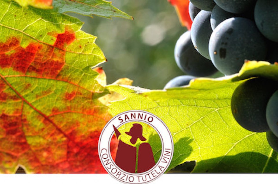 Wine&Thecity: al gran finale protagoniste le aziende del Sannio Consorzio Tutela Vini Wine&Thecity: al gran finale protagoniste le aziende del Sannio Consorzio Tutela Vini