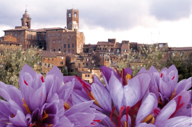 Zafferiamo: dal 24 al 26 ottobre la tre giorni di Città della Pieve dedicata allo zafferano