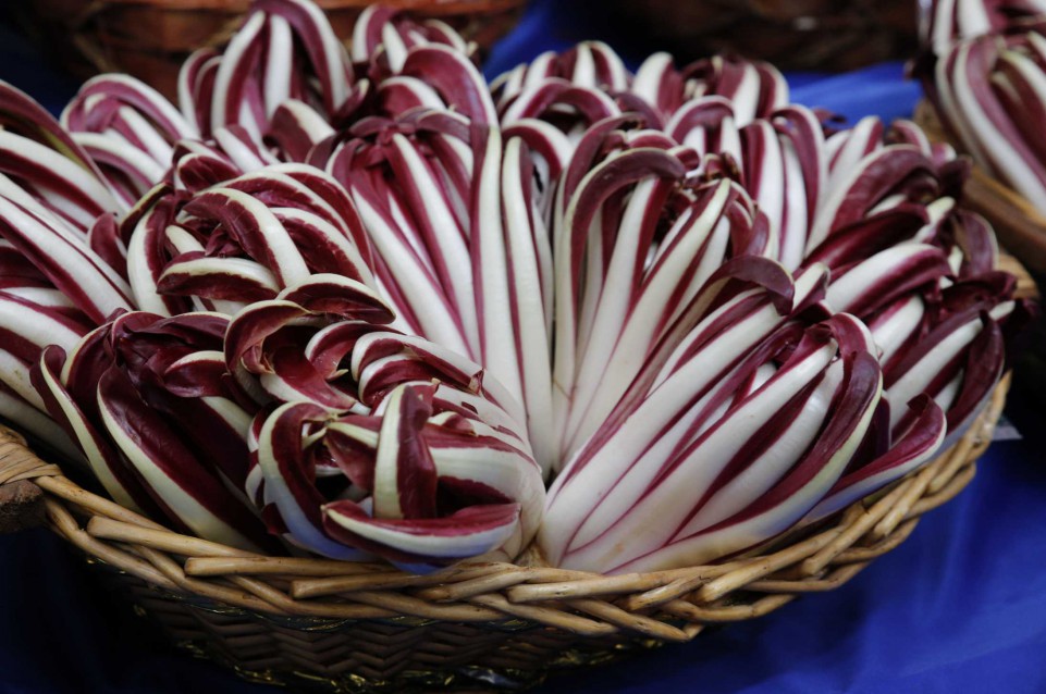 I weekend dal 13 al 19 gennaio a Zero Branco torna la "Mostra del Radicchio Rosso di Treviso IGP Tardivo" 