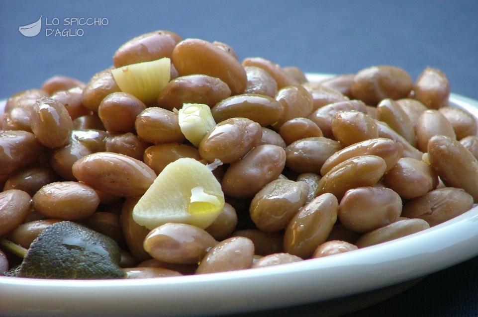 Fagioli freschi lessati Fagioli freschi lessati