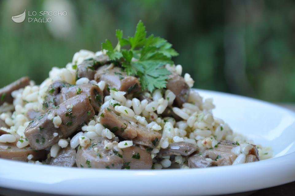 Insalata di cereali e funghi trifolati