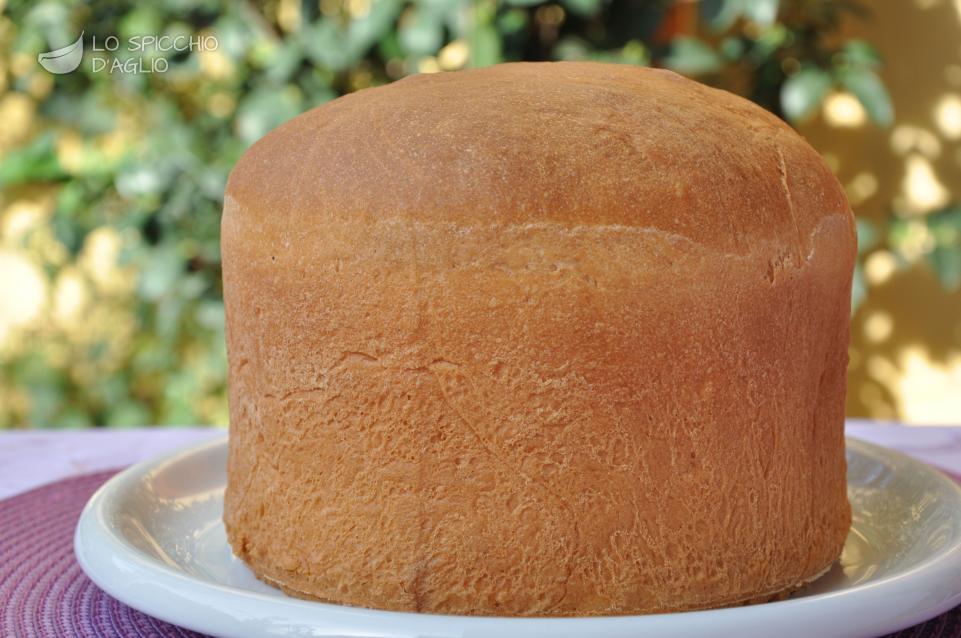 Panettone salato