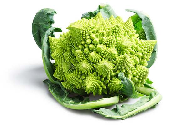 Cavolfiore romanesco