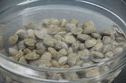 Spurgare le vongole